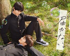 宣城网络推广seo优化